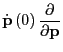 $\displaystyle \dot{\bf p}\left(0\right)\frac{\partial}{\partial{\bf p}}$