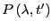 $P\left(\lambda,t^\prime\right)$